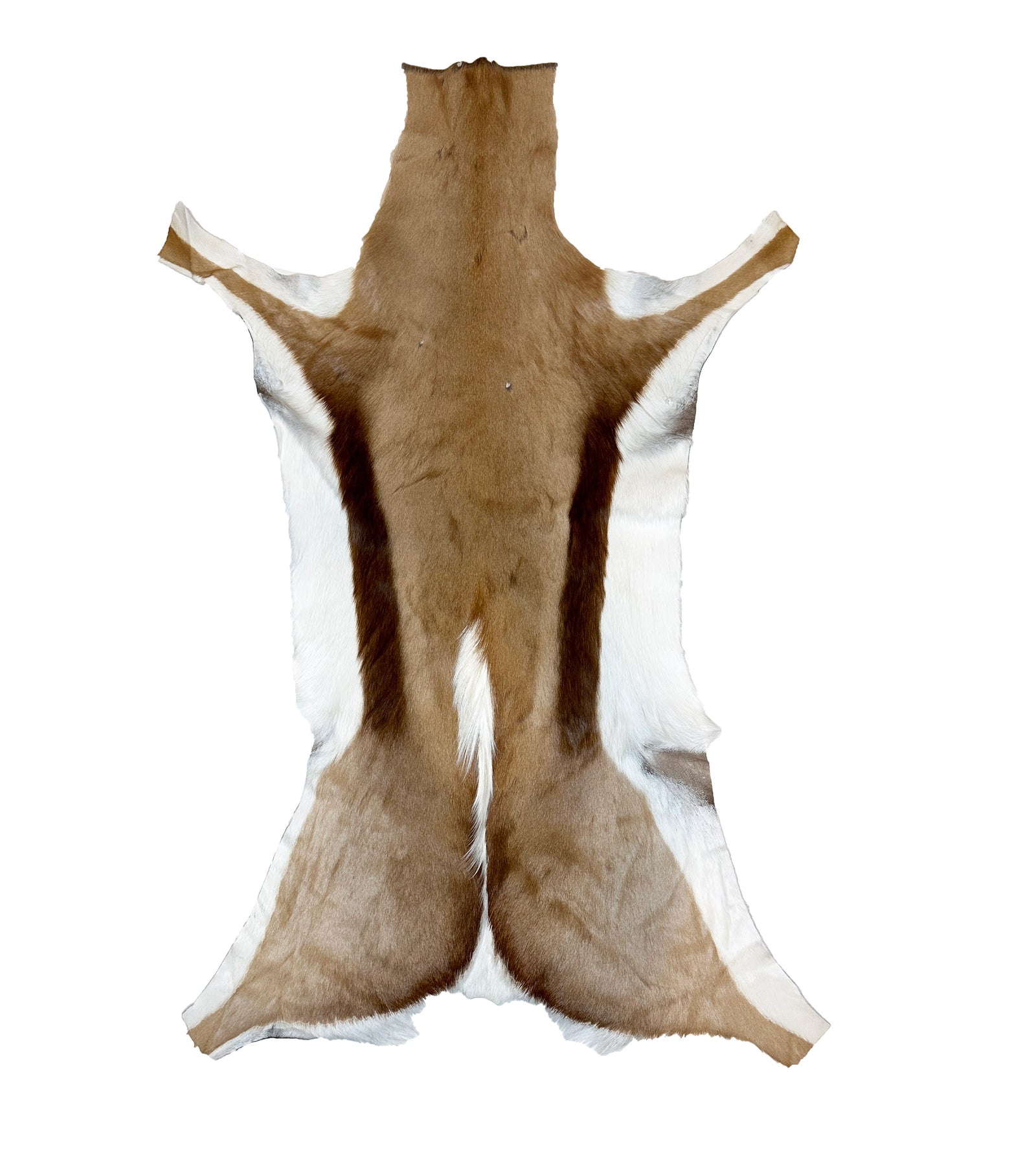 Natural Springbok Hide Real Fur Rug - Animal Hide – Furug