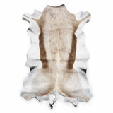 Rare champagne Springbok hide from South Africa in pale cream, taupe and soft brown – exact hide 34 inches