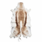 Rare champagne Springbok hide from South Africa in cream, beige and soft brown – exact hide 38 inches