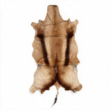 Copper Springbok hide from South Africa with rich caramel and dark brown markings – exact hide 40 inches
