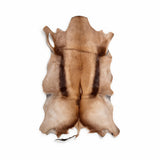 Copper Springbok hide from South Africa with rich caramel and dark brown markings – exact hide 39 inches