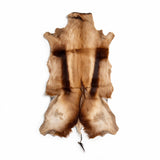 Copper Springbok hide from South Africa with rich caramel and dark brown markings – exact hide 37 inches