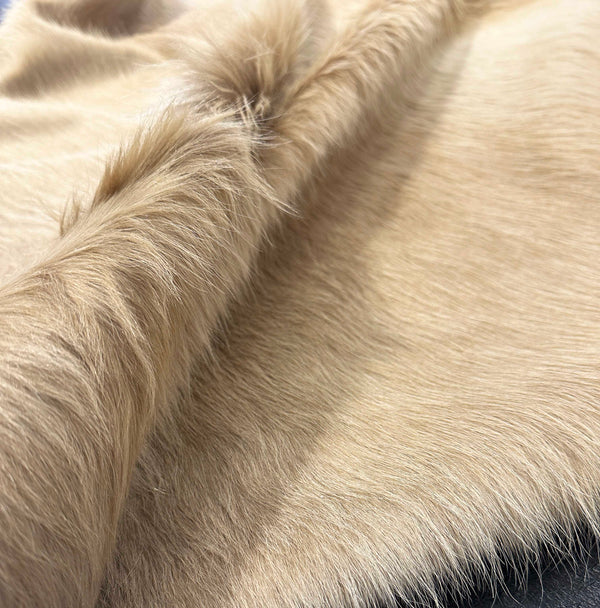 Close-up of beige cowhide fur texture