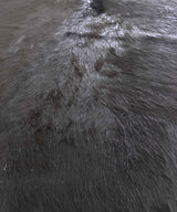 black cowhide rug