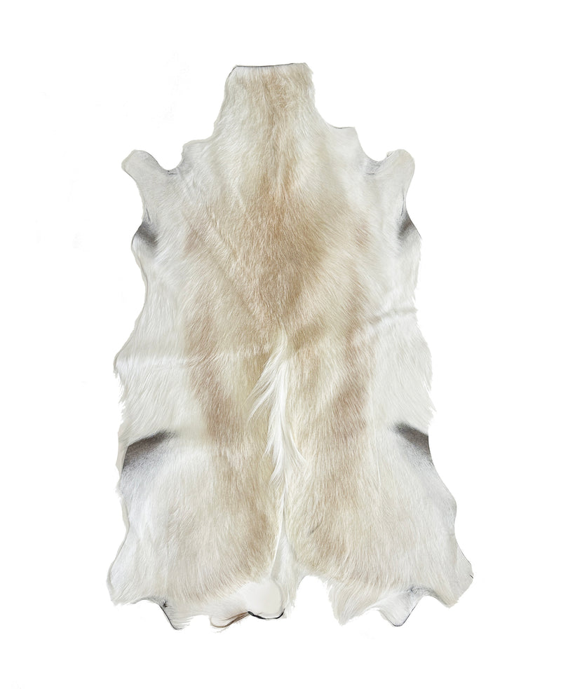 white springbok deer hide
