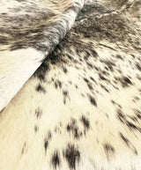 Close-up of a cowhide with black and white pattern