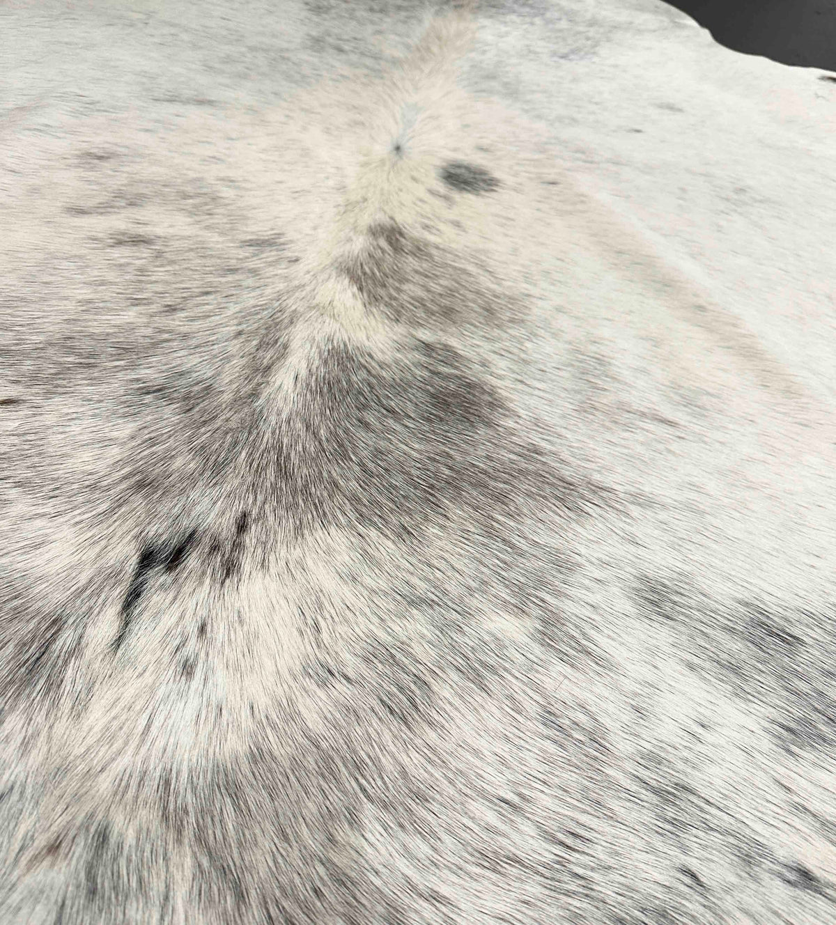 Close-up of a gray and white cowhide texture
