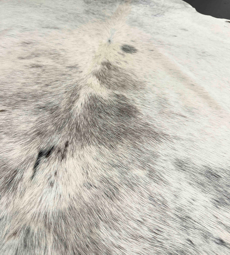 Close-up of a gray and white cowhide texture