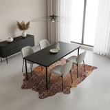 stenciled axis cowhide rug in dining room
