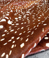 stenciled axis cowhide rug