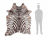 Stenciled Brown Zebra On White Cowhide Rug