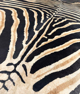 Close-up of a zebra-striped pattern on a textured surface.