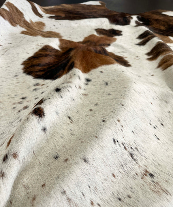 tri-color cowhide rug