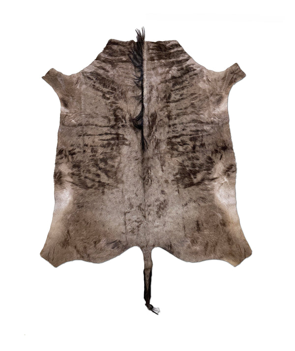 wildebeest animal hide