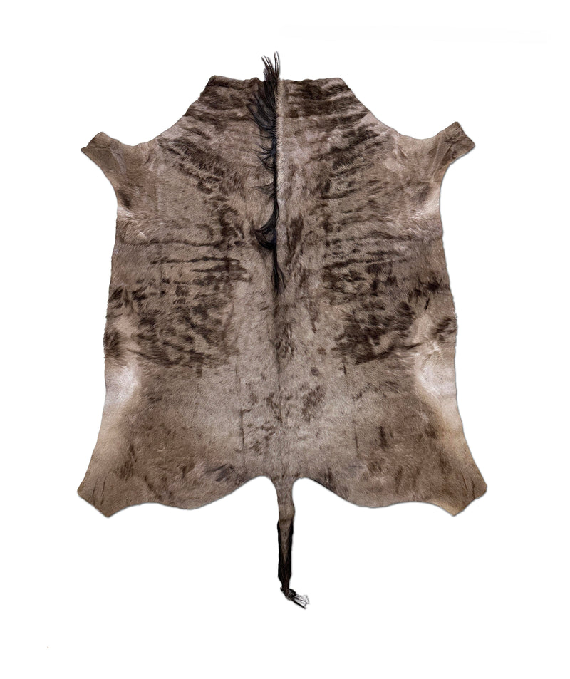wildebeest animal hide