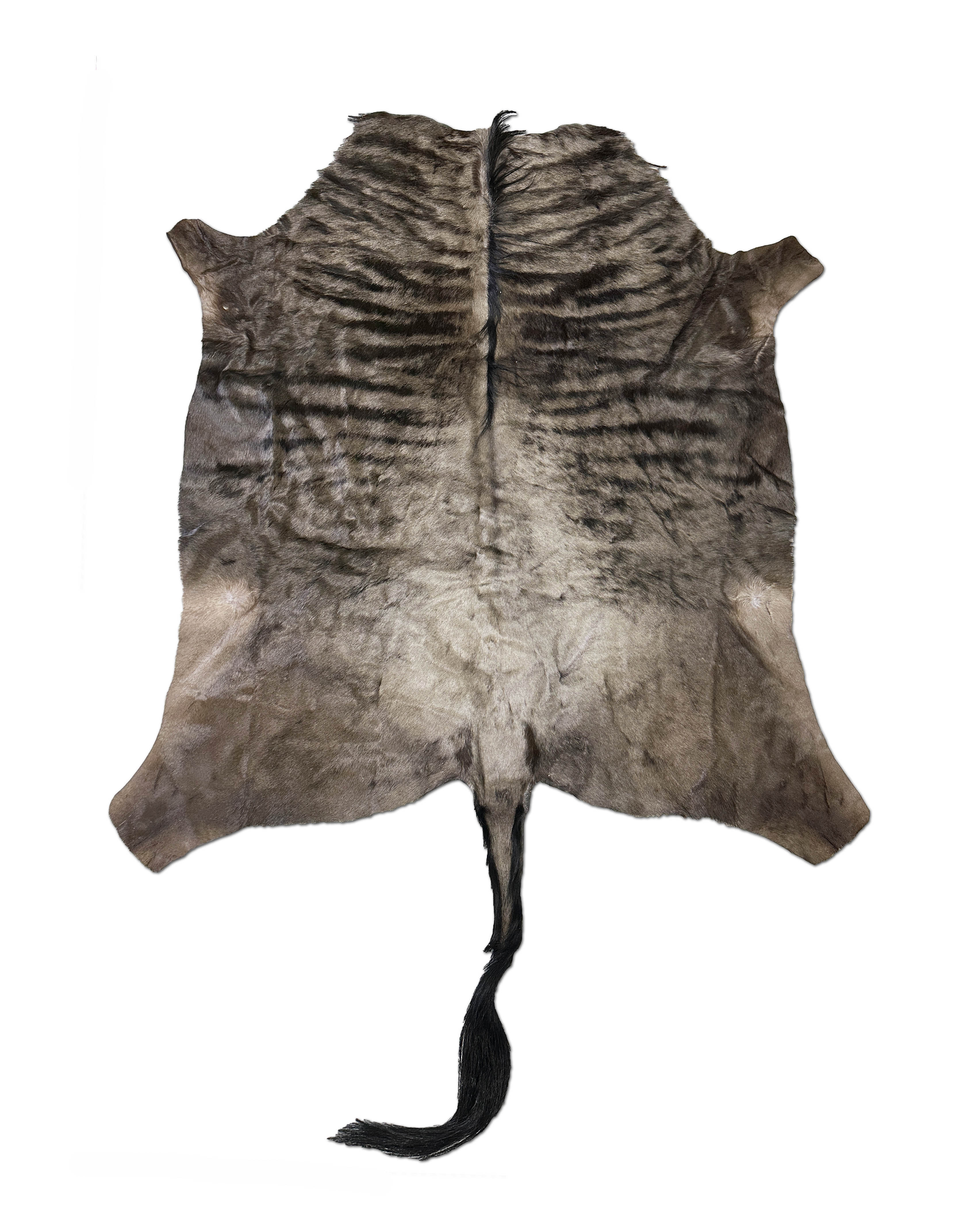 Natural Blue Wildebeest Hide Real Fur Rug - Exotic Hide – Furug