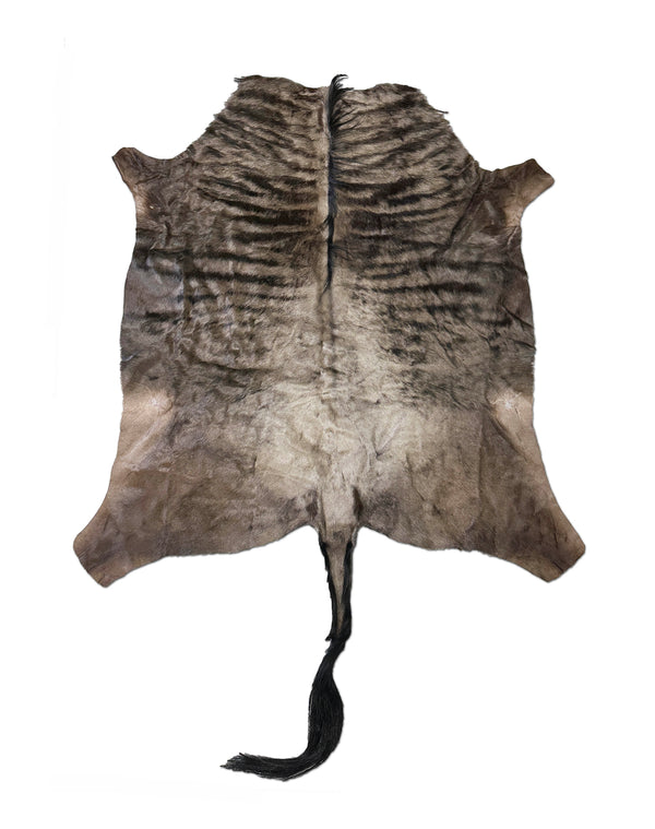 wildebeest animal hide