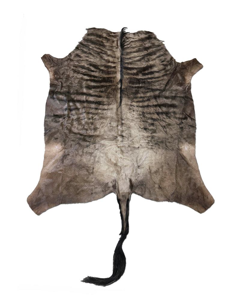 wildebeest animal hide