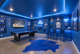 blue cowhide rug staged in a game room