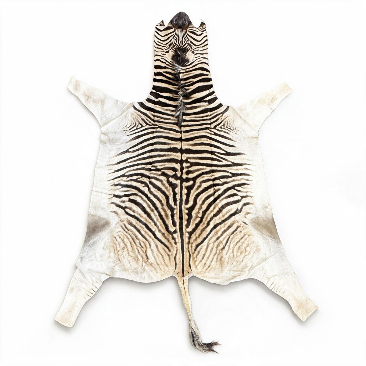 real zebra rug