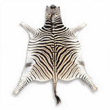 real zebra rug