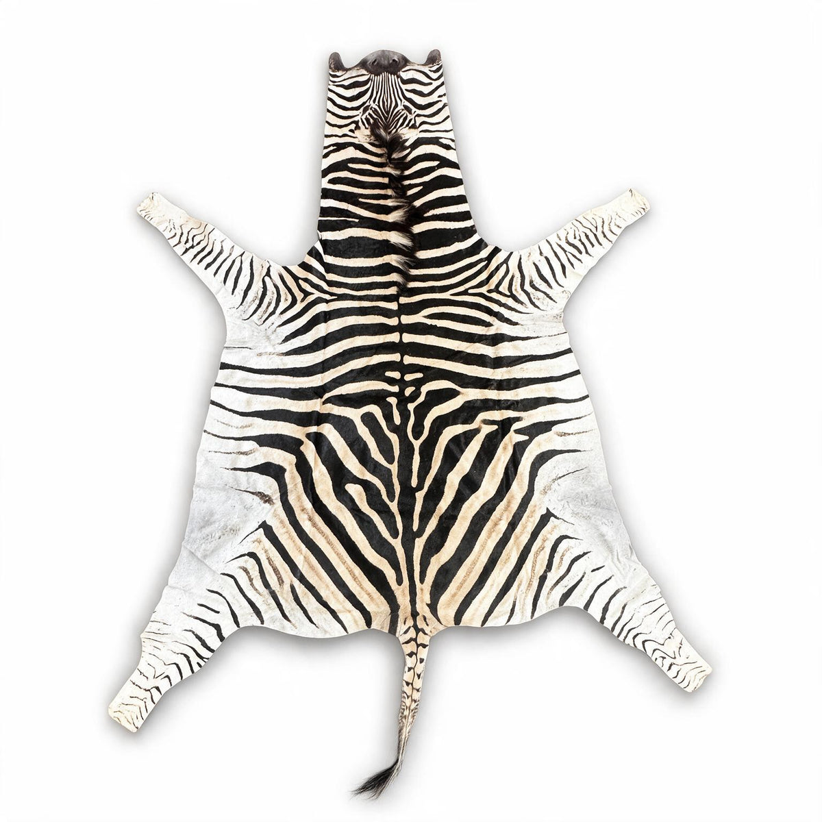 real zebra hide rug