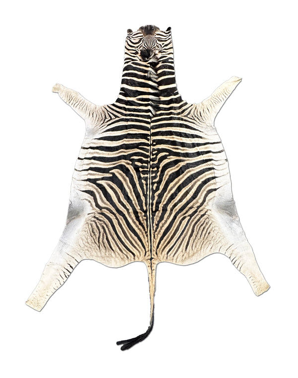 zebra rug