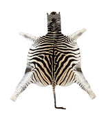zebra rug