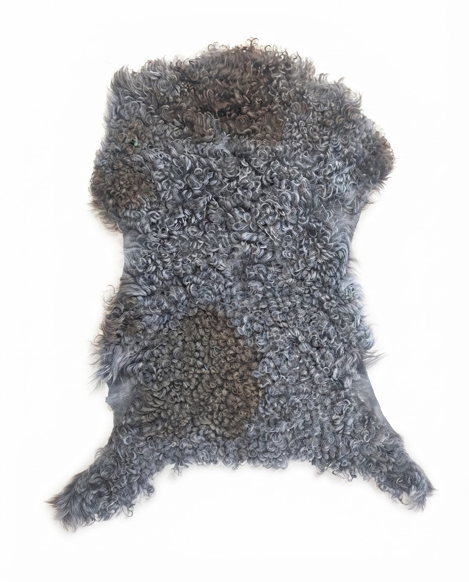 Dyed gray Spanish sheepskin with tightly curled wool – exact 24-inch hide