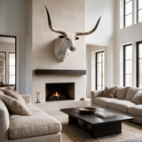 Texas Longhorn Shoulder Mount