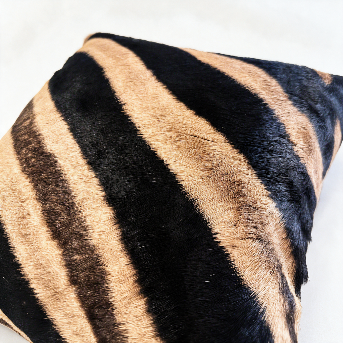 Close-up of genuine zebra hide showing natural black and tan stripes and hair texture