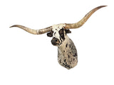 taxidermy texas longhorn shoulder mount